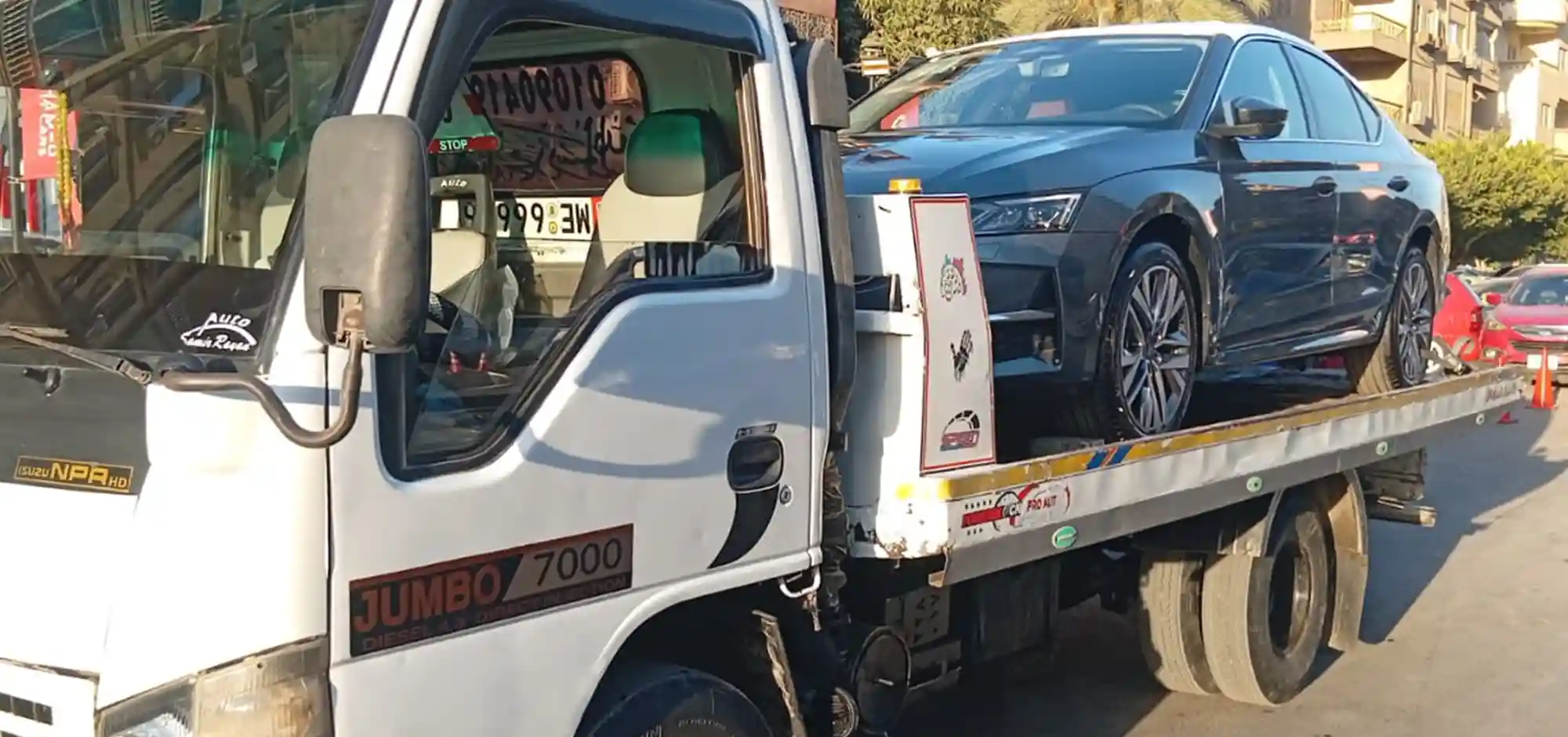 Cate (13)